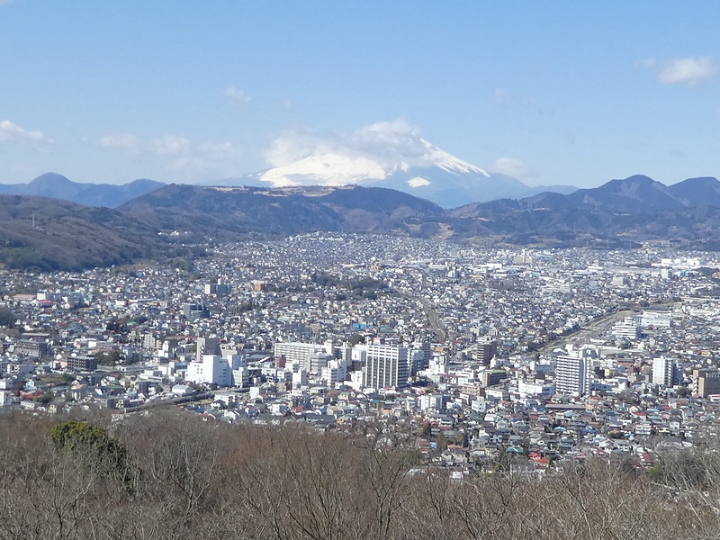 弘法山公園 吾妻山コース はだの旬だより 秦野市観光協会