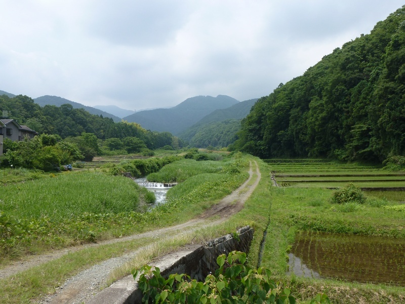 表丹沢県民の森 県立秦野戸川公園コース はだの旬だより 秦野市観光協会