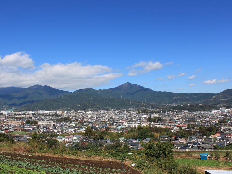 渋沢丘陵から見た大山