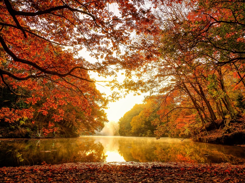 紅葉の震生湖